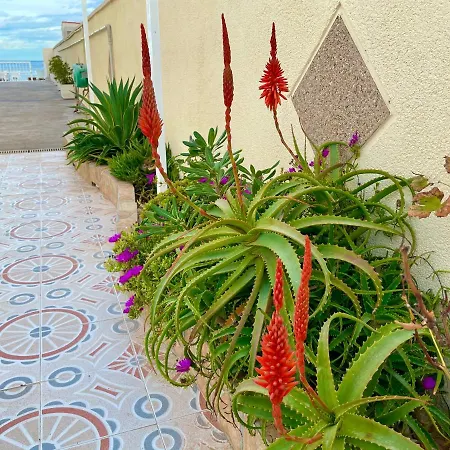 Royal House Vista Mar Chalet La Mata (Torrevieja)